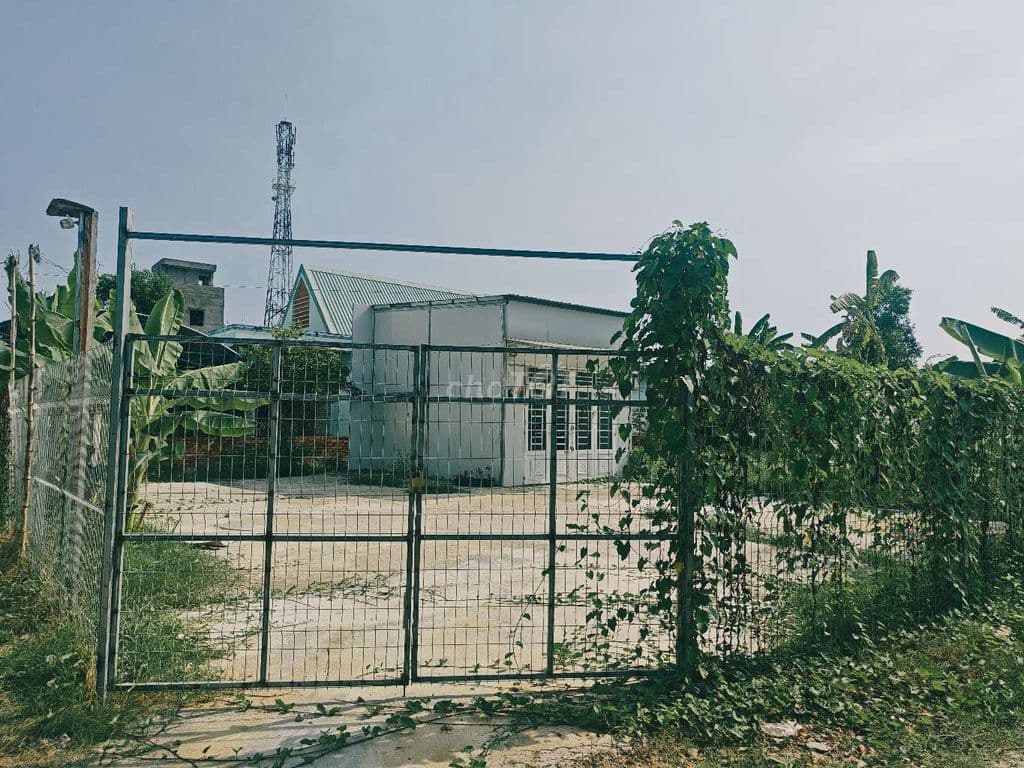 Đất Đẹp Quận 9 2MT full thổ xây dựng cao.