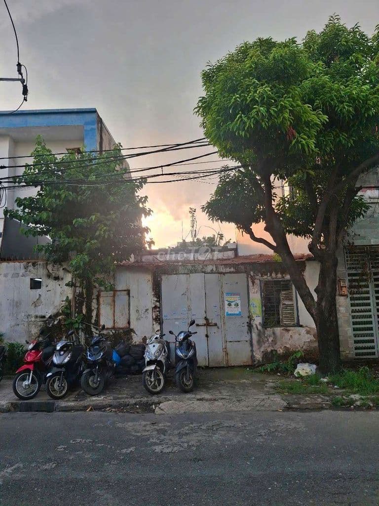 Cẩn Bán gấp Đất P .TTN Q12 DT.7x5 thổ cư 100% Đương xe công sổ hồng