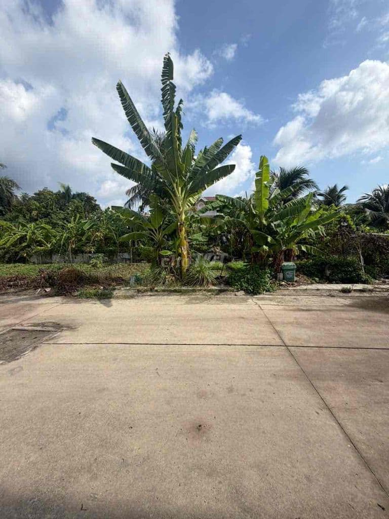 Đất Thạnh Xuân 52 - Khu Dân Cư - Sổ Hồng Riêng 2026 ( 5,14 x 10.3 ) - Ảnh 2