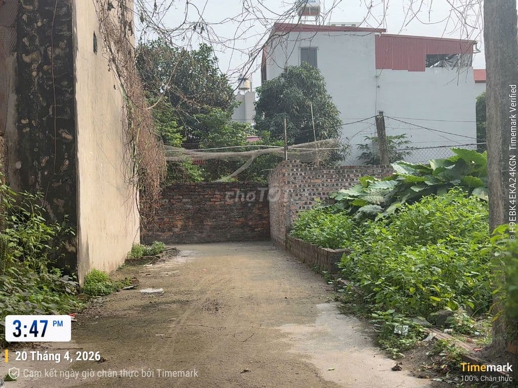 💢 💢 Đất Đẹp 54m2 Cổ Dương, Tiên Dương – HÀNG ĐẸP – GIÁ TỐT 🏡 - Ảnh 3