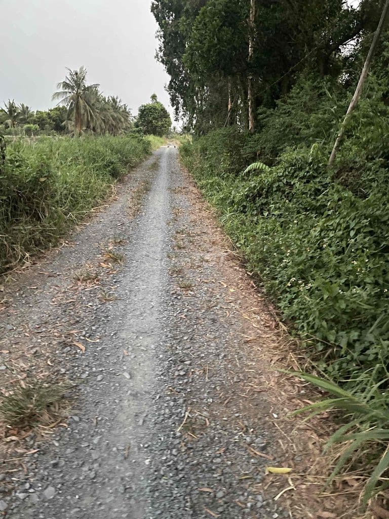 tôi bán mảnh đất vườn mặt tiền Kênh 10 giá rẻ 4 tỉ/ công