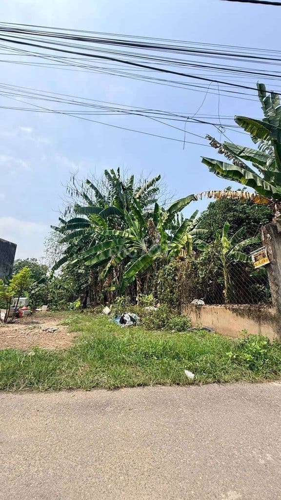 📣 BÁN LÔ ĐẤT SHR – GIÁ TỐT ĐẦU TƯ / XÂY Ở.Vị trí: 1 sẹc Tân Hiệp 12-7 - Ảnh 3