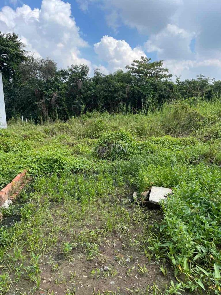 Bán đất hẻm xe hơi gần đường Nguyễn Xiển - Ảnh 3