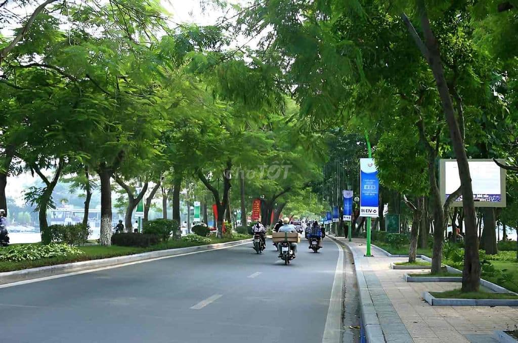 MẶT PHỐ LÔGOC HAI BÀ TRƯNG 320m RỘNG 20m NHÀ 12 TẦNG 2 HẦM GIA 650 Ty - Ảnh 2