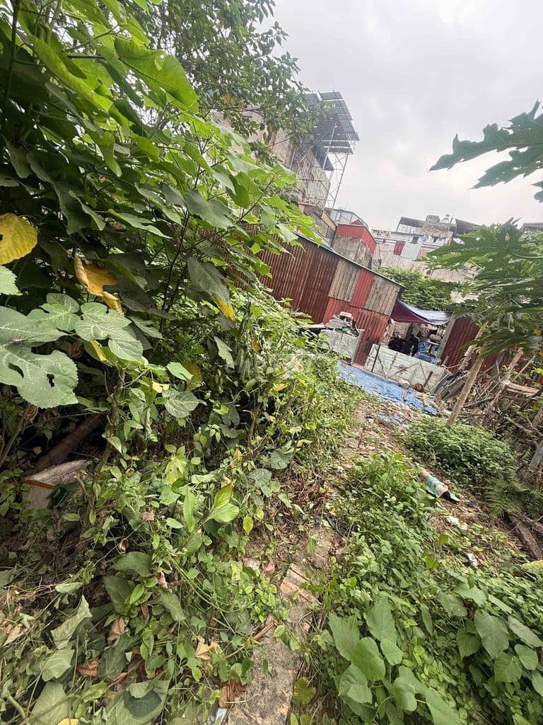 bán đất chính chủ - Ảnh 3