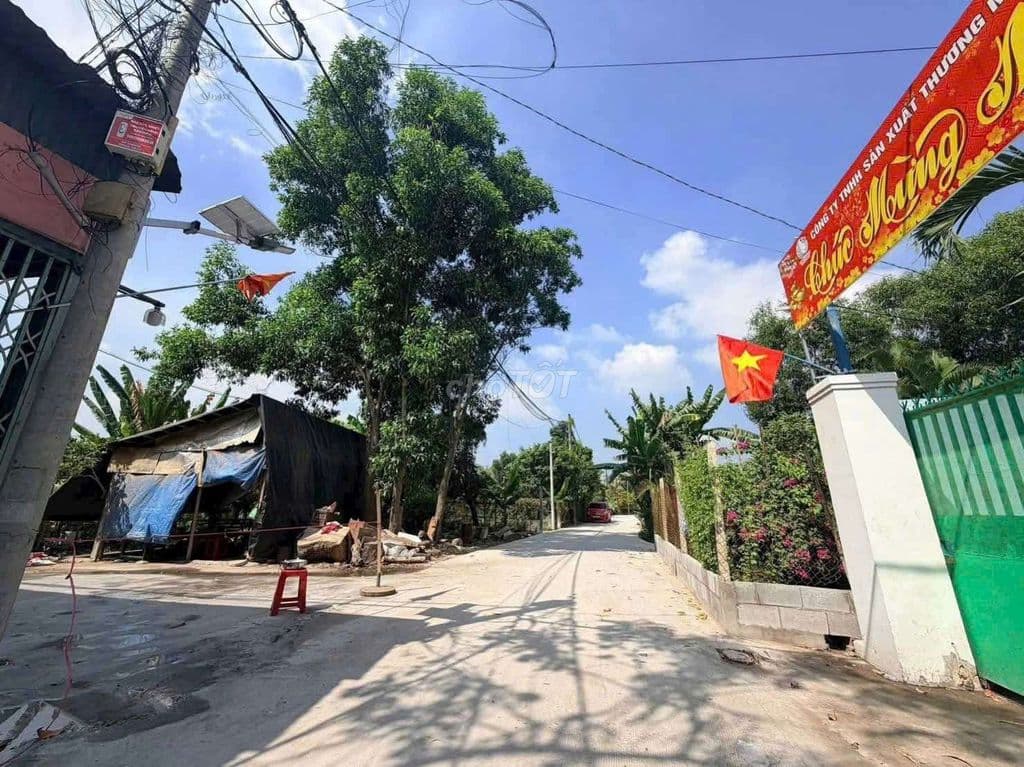 Đất thổ cư 2/đường số 86-Tân Phú Trung-Củ Chi.Dt 15,5x64~987m2~5,5ty - Ảnh 3