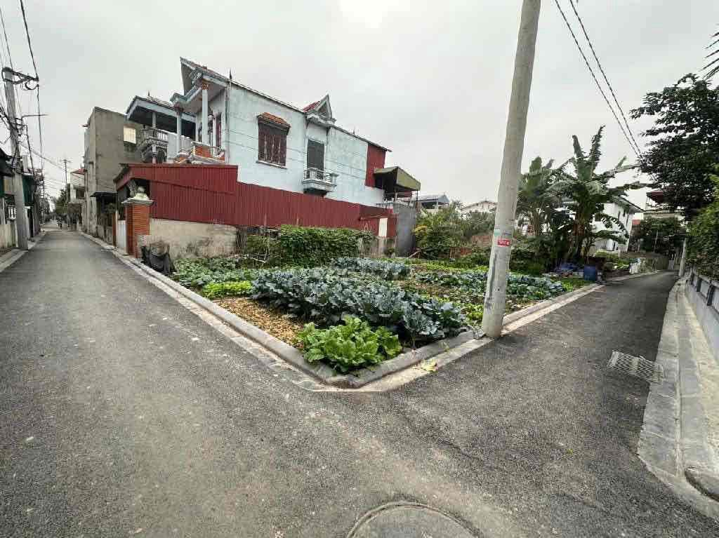 🚨 CHỦ GIẢM CHÀO CHO CÁC NHÀ ĐẦU TƯ THÔNG THÁI - Ảnh 2