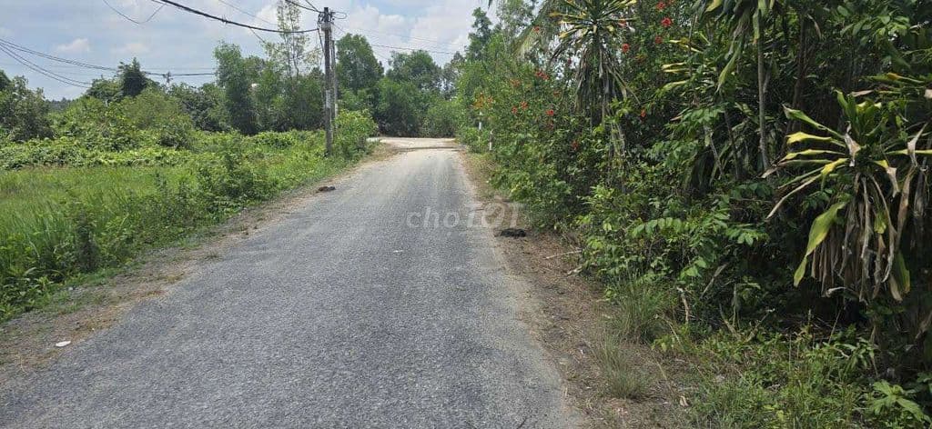 Hàng Đất Sát Sông Sài Gòn, Mặt Tiền Nhựa, Ngang 45m Miên Man.