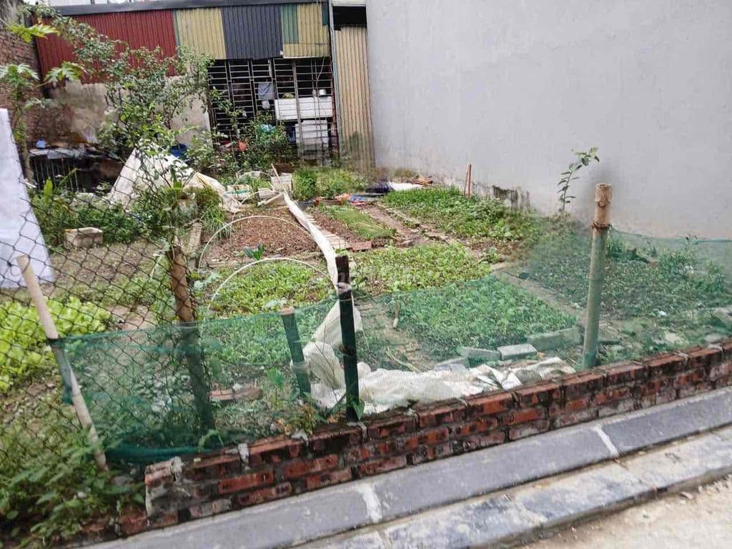 Cần bán 44m cổ dương tiên dương giá có thể giảm thêm - Ảnh 2