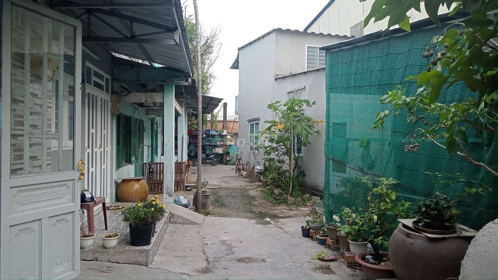 Cần tiền bán gấp nhà cấp 4 giá 450 triệu - Ảnh 3