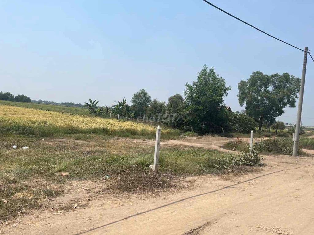 Cần bán lô đất thuộc khu đô thị tây bắc Củ Chi - Ảnh 3