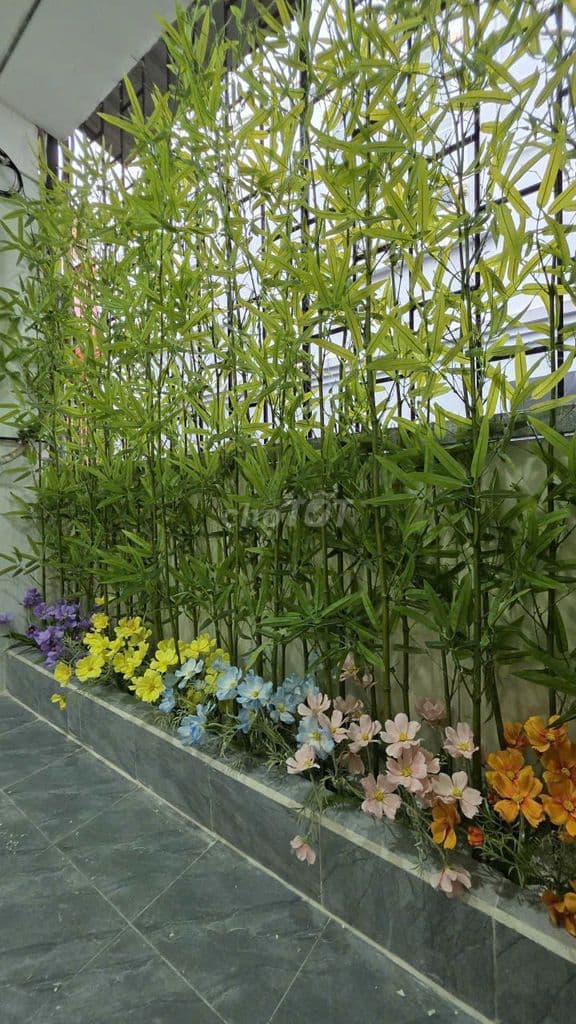 Bán nhà 17A ngõ 65 Đào Tấn ở và kinh doanh khu Đại Sứ Quán Nhật Bản - Ảnh 3