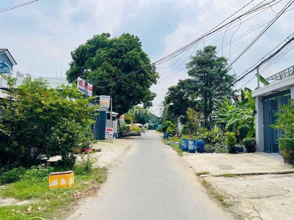 376m2 full thổ giá 750tr tân thông hội củ chi giá còn bớt lộc - Ảnh 3