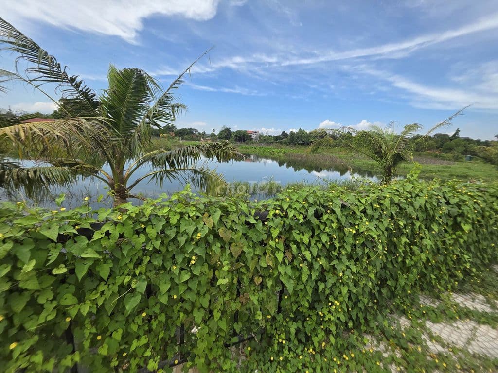 Bán gấp lô đất view hồ giá 2x, mặt tiền 11m, gần QL21, ĐHQG, CNC. - Ảnh 3