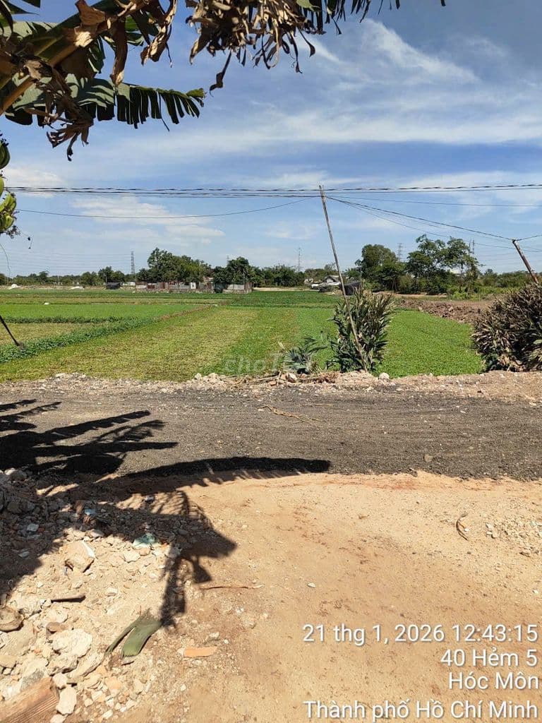 đất vườn sổ riêng 10x50m đất trồng cây đường xe tải, Thới tam thôn - Ảnh 3