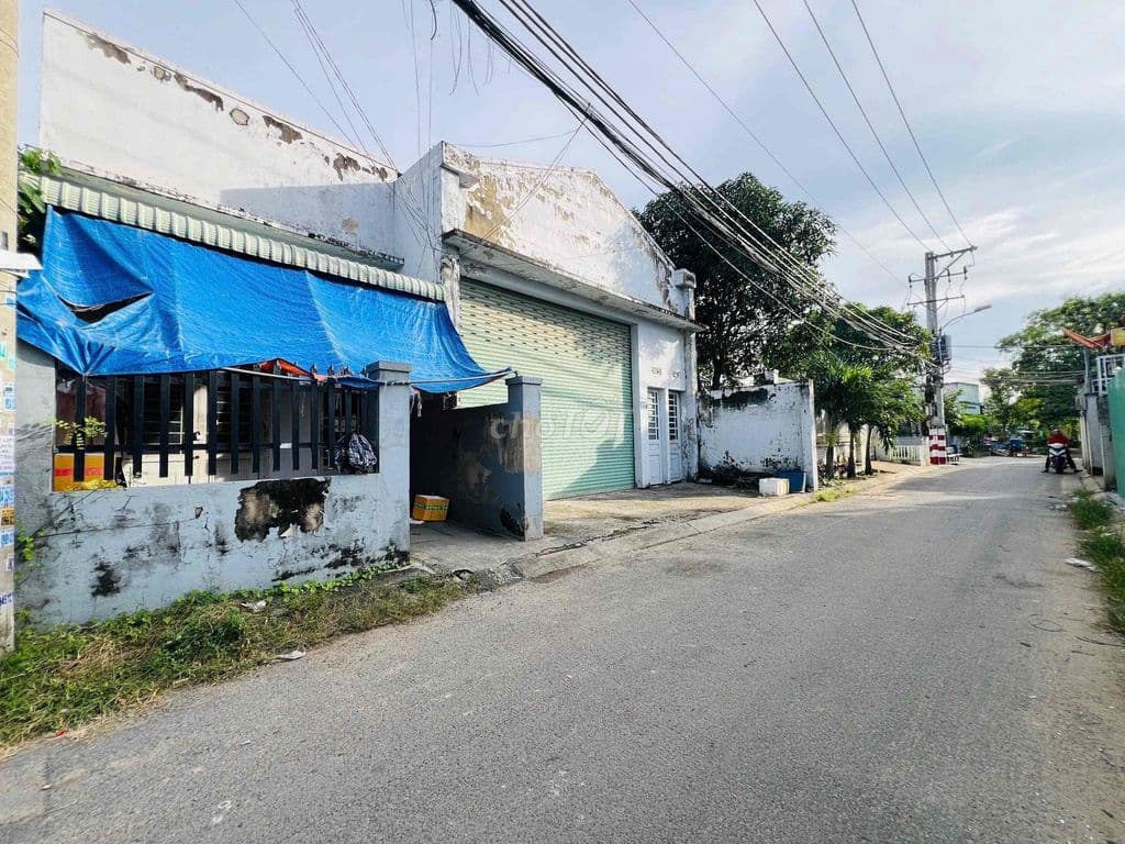 ĐẤT TRƯỜNG THỌ CÁCH VÀNH ĐAI 2 ĐÚNG 70m_ĐƯỜNG NHỰA THÔNG 6M_NGANG 5m - Ảnh 3