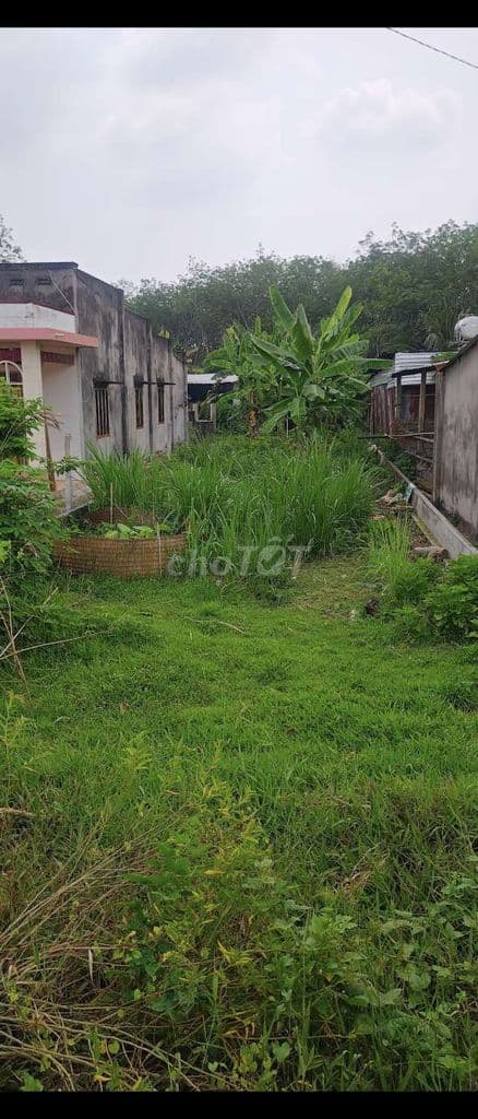 đất mặt tiền kinh doanh 199m² 1.8ty - Ảnh 3