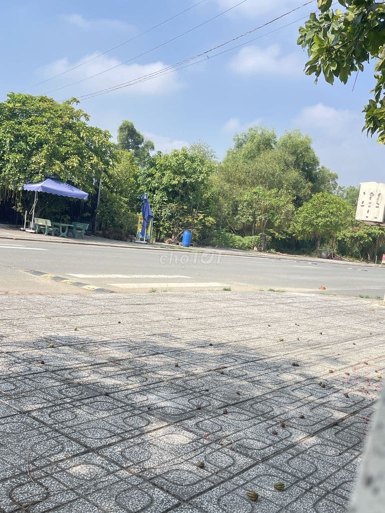 Bán đất dự án Đảo kim cương quận 9 mt giá tốt - Ảnh 3