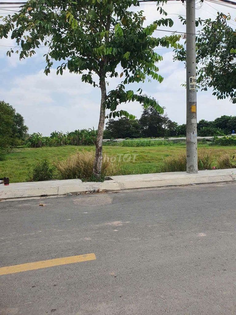 bán đất mặt tiền đường nhựa hai mươi mét, xuân thê sơn hóc môn