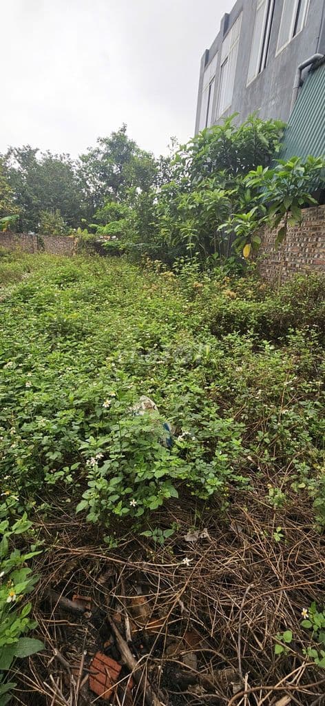 🌟🌟 Lô 90m2 Bến Trung, Bắc Hồng – Gần Vin BH - Mặt tiền 5m Vuông Vắn