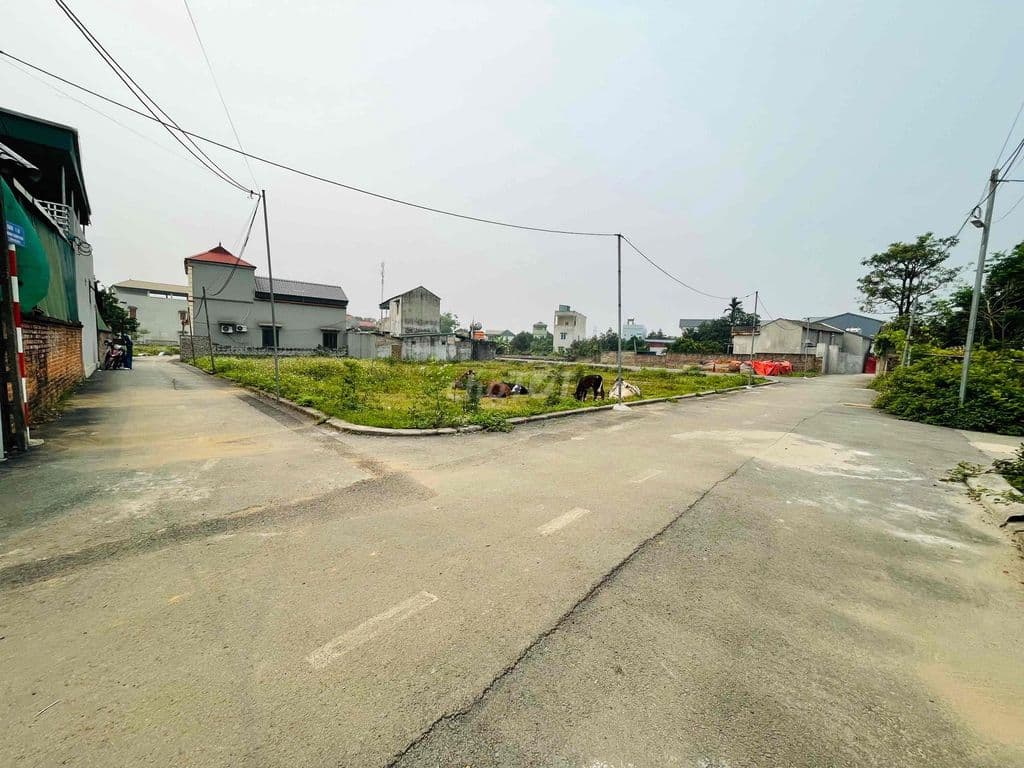 ĐẤT BÌNH YÊN GẦN ĐẠI HỌC QUỐC GIA VÀ CÔNG NGHỆ CAO HOÀ LẠC - Ảnh 3