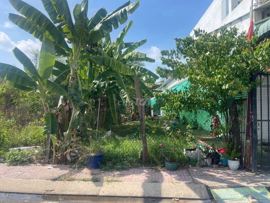 Cần bán gấp lô đất ngay thị trấn cho con gái học đại học 139m2 giá 599