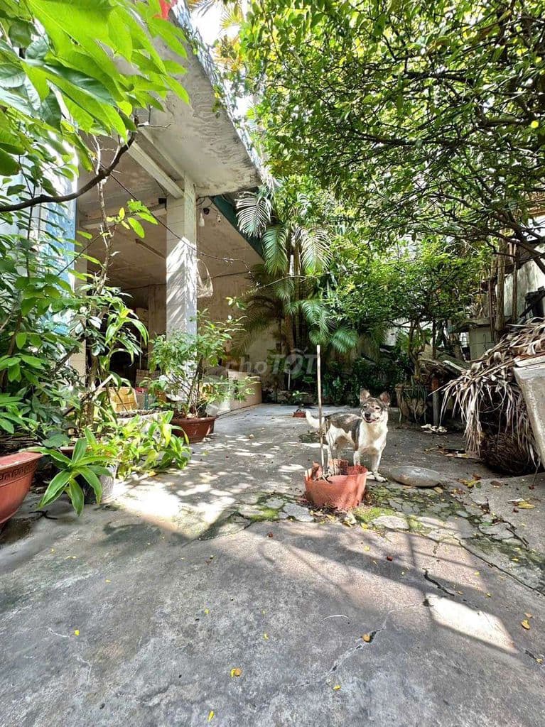 Định cưới_bán Rẻ TS nhà có 186m2 kế cầu Cây Gõ Q11/Q6 xd Villa/CHDV Ổn