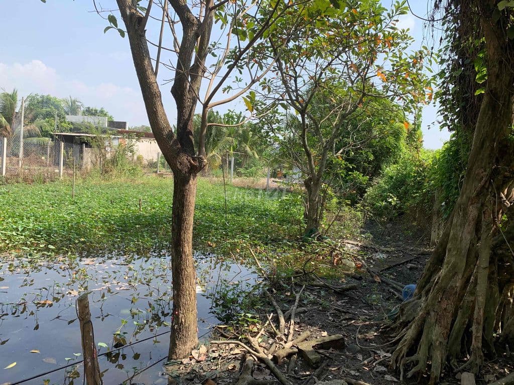Đất vườn 543m Hưng Long - Ảnh 3