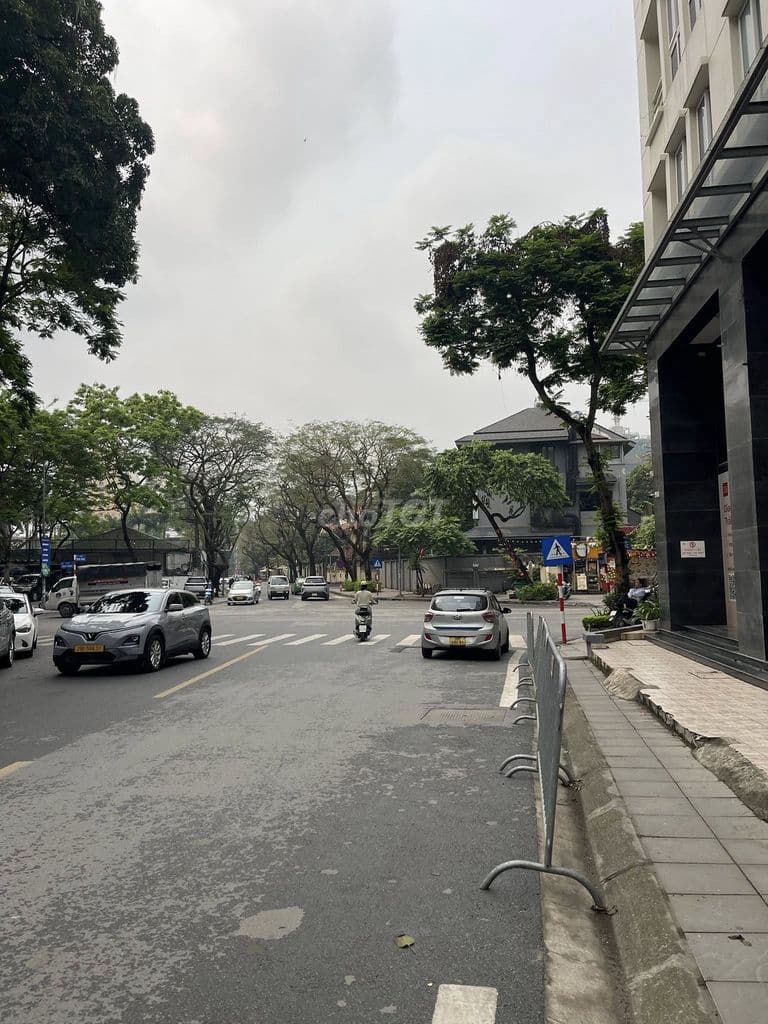 BT Liễu Giai,Ba Đình,siêu vip phân lô 120m,4 tầng,oto vào nhà,44 tỷ