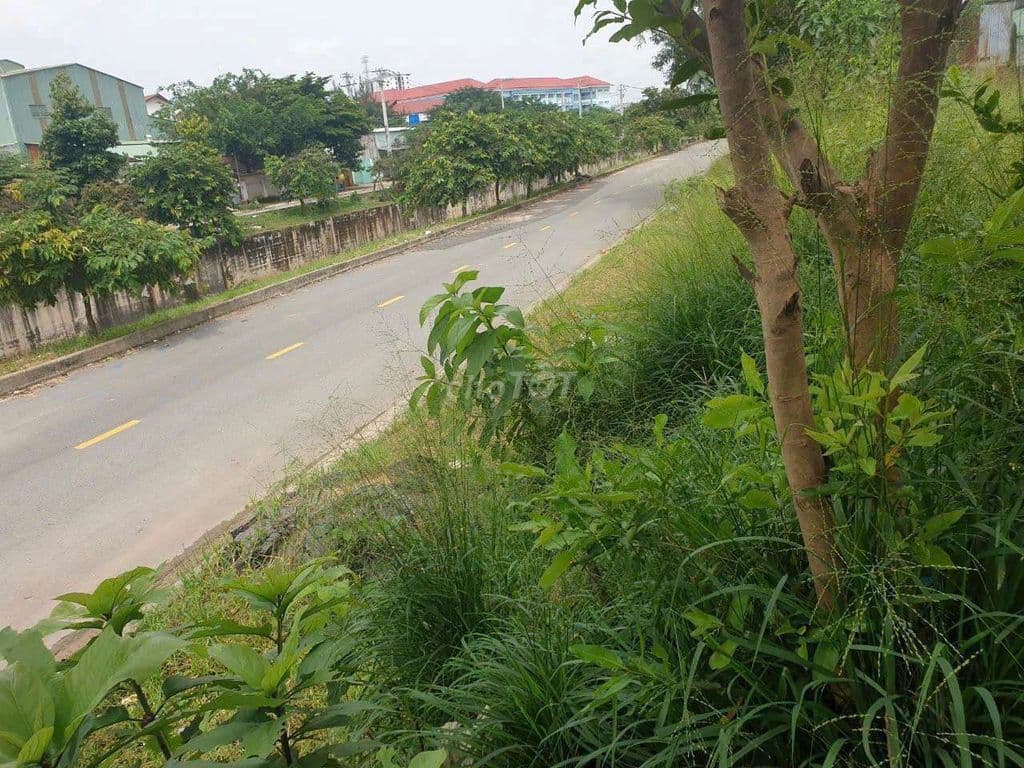 Hàng Ngộp. Siêu Rẻ. MT Đg Vận Hành. XLHN. Linh Trung. Thủ Đức.