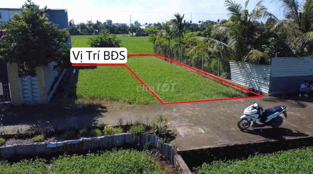 đất thổ cư xây dựng tự do 6x25=156m2 Bình Mỹ - Củ Chi - Ảnh 2