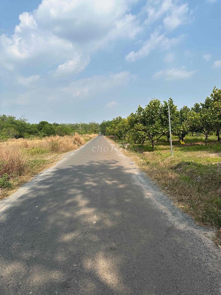 Đất Suối dây 1.750m2 - Ảnh 2