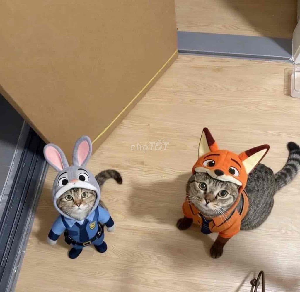 Định cư SG ở nhà khu vực trung tâm Q.3 sátQ.1 gần MTKD Điện Biên Phủ - Ảnh 2