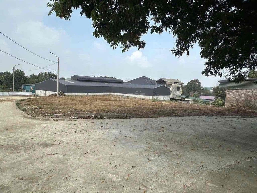Bán 506m2 Đất Xây Kho Xưởng,Biệt Thự - Ảnh 2