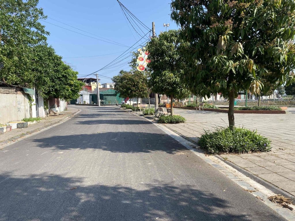 🌟HÀNG F0-DIỆN TÍCH RỘNG Ô TÔ NGỦ ĐẤT - BÌA LÀNG NGỌC LÔI- THƯ LÂM ĐÔNG - Ảnh 2