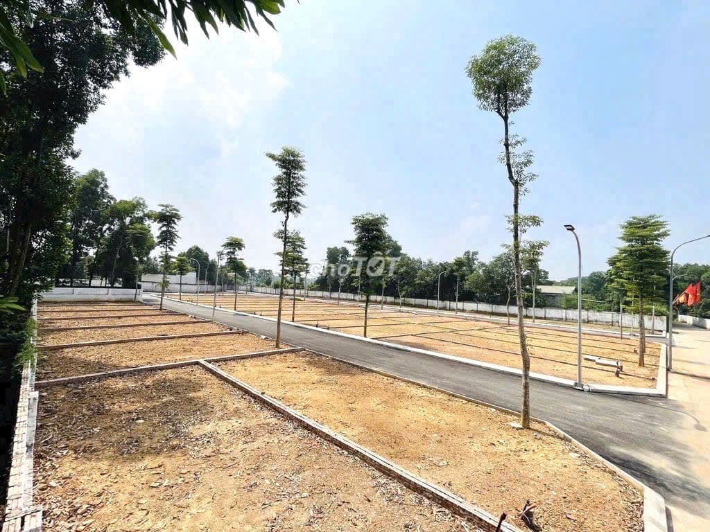 60M CHÍNH CHỦ TÔI CẦN BÁN ĐẤT CỔ ĐÔNG - SƠN TÂY CÁCH QL21 200M - Ảnh 2