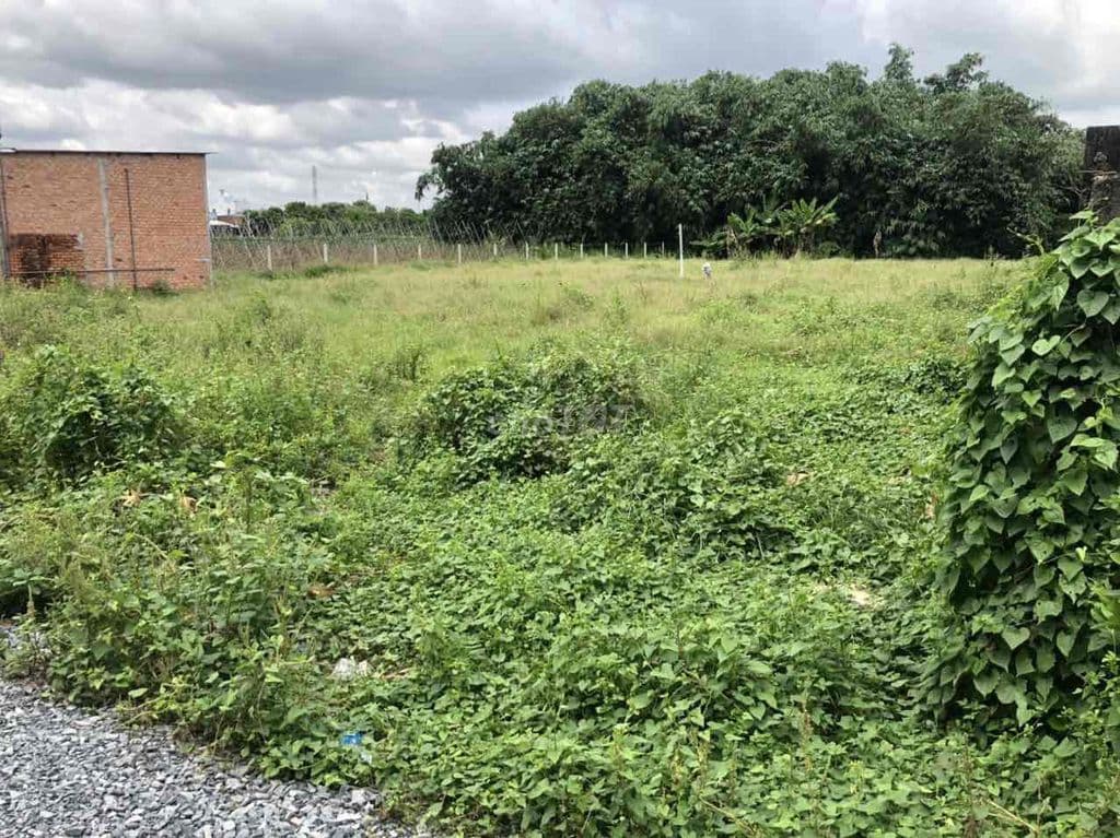 Đất chính chủ Tân Thạnh Đông cũ