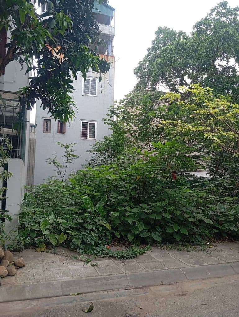BÁN ĐẤT TÁI ĐỊNH CƯ ĐẶNG VŨ HỶ - Ảnh 3
