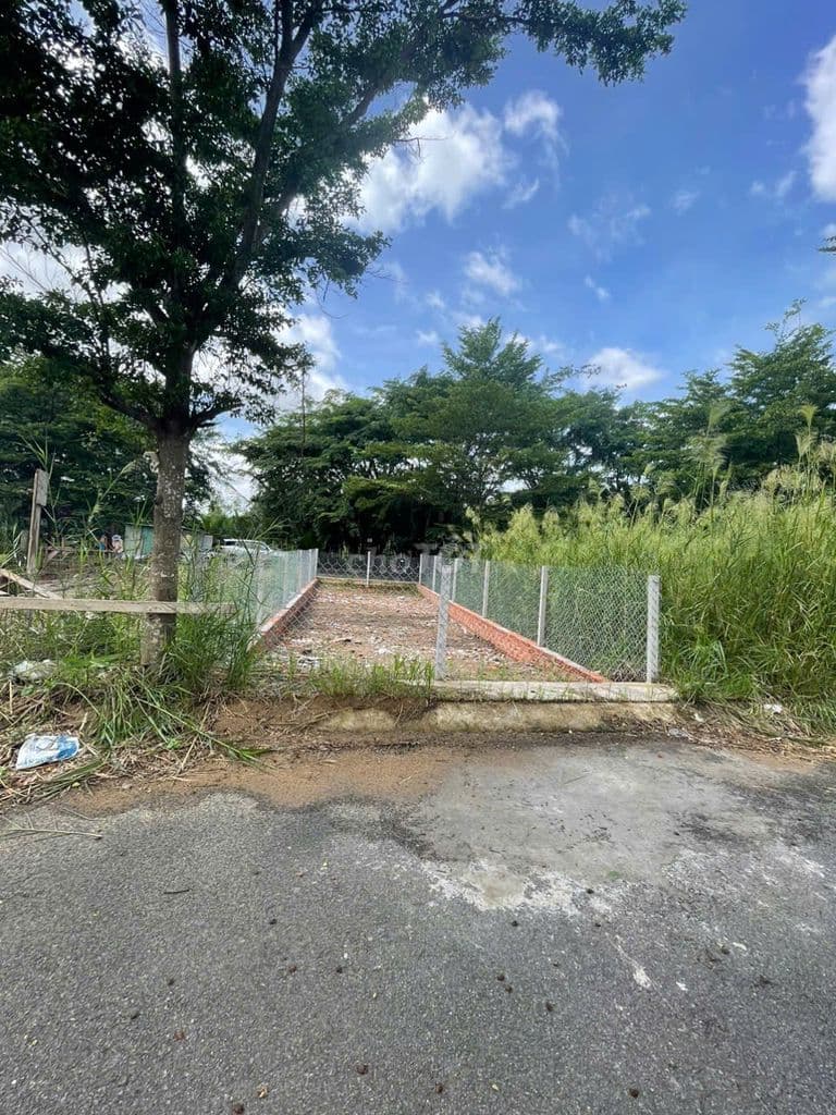 Đất 5x24,5m KDC Rạch Tôm Lê Văn Lương - Ảnh 2