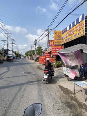 Bán đất Mặt tiền An Phú Tây Hưng Long 1.2ha gần chợ Thuận Đạt - Ảnh 3