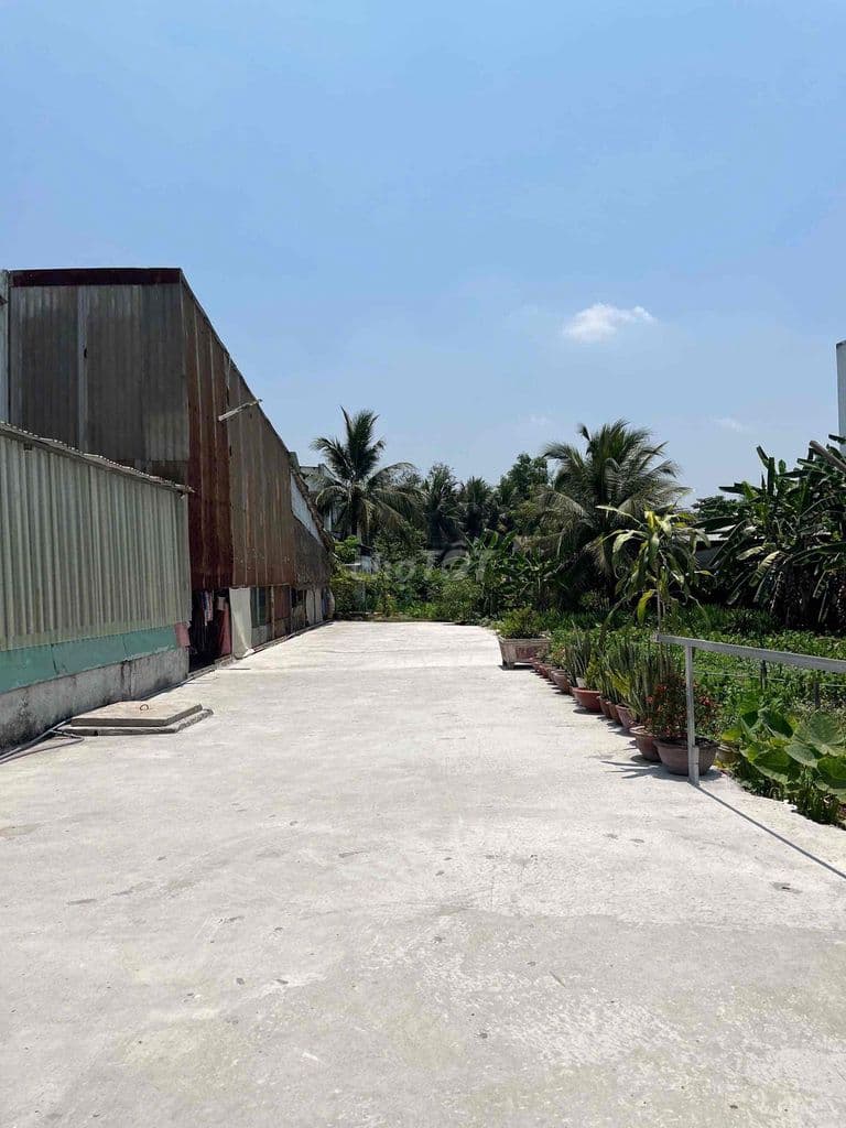 BÁN ĐẤT MẶT TIỀN GẦN DI TÍCH LÁNG LE BÀU CÒ-BÌNH CHÁNH - Ảnh 3