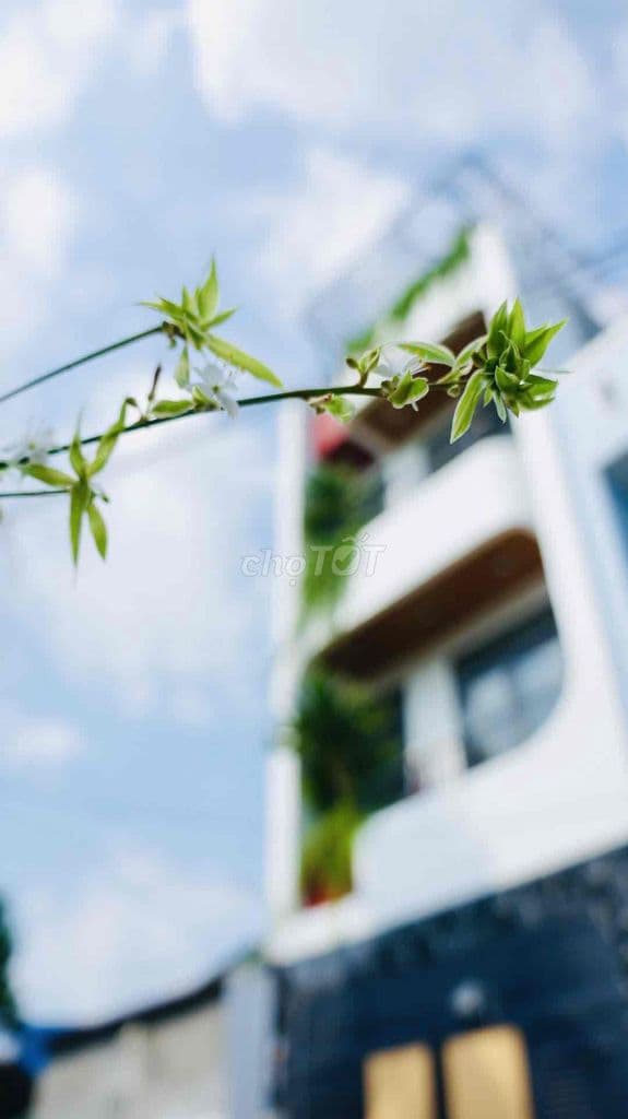 NGAY QL13 CŨ-6T2, Săn Nhà Thủ Đức Nên Xem - Ảnh 2