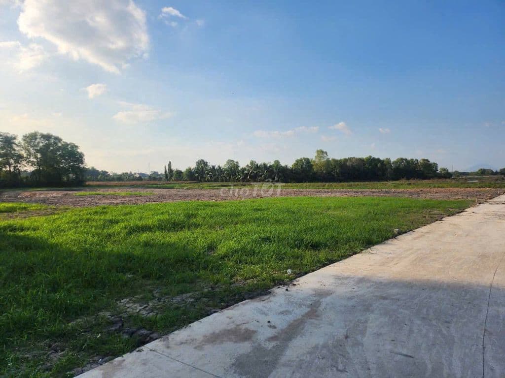 1 TỶ 25 SỞ HỮU NGAY LÔ ĐẤT HƠN 500M2 - ĐƯỜNG TL 7 TRUNG LẬP THƯỢNG - Ảnh 2
