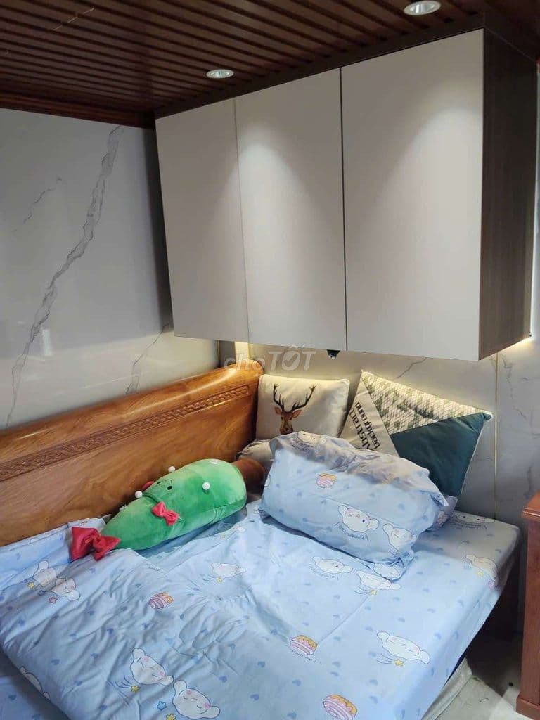 Bán biệt thự mini siêu đẹp 79/64 đường bờ bao Tân Thắng . eon tân phú. - Ảnh 2