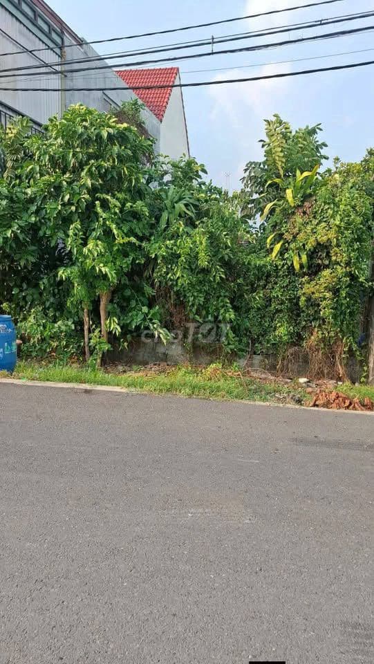 ĐẤT TÂN PHÚ TRUNG – CỦ CHI, SỔ RIÊNG, DT 7.5x21M, GIÁ 700 thương lượng - Ảnh 2