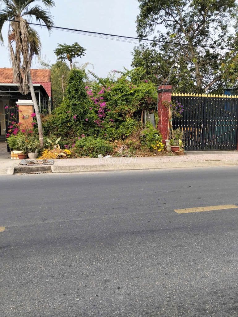 Bán đất 5 x 50 thổ cư 40m2