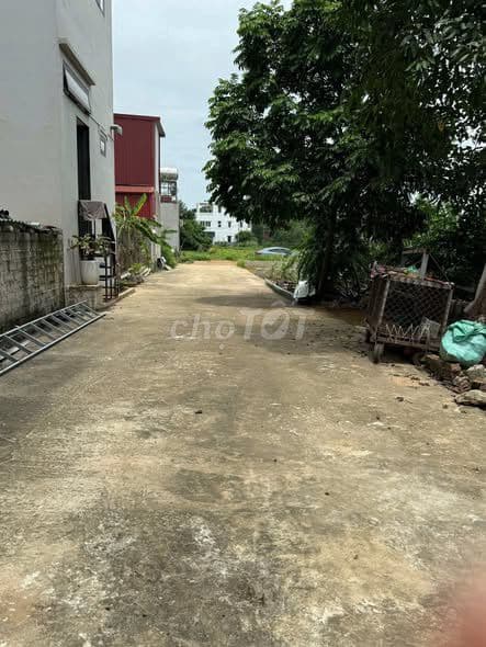 bán đất 68.3m Gò Vàng Sen Trì giá chưa đến 3tỷ - Ảnh 3