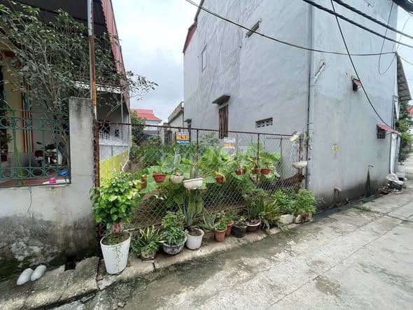 bán đất 117m² Tiền Phong - giá 50 triệu/m²