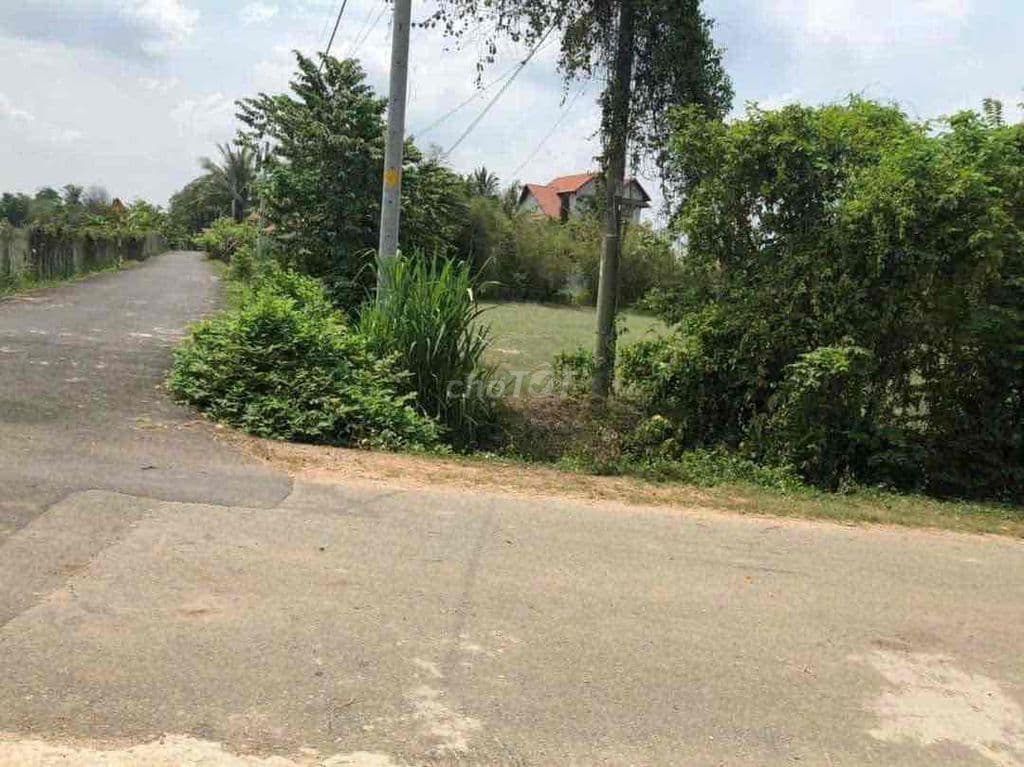 Bán đất 2 mặt tiền đường nhựa, vì ngợp ngân hàng