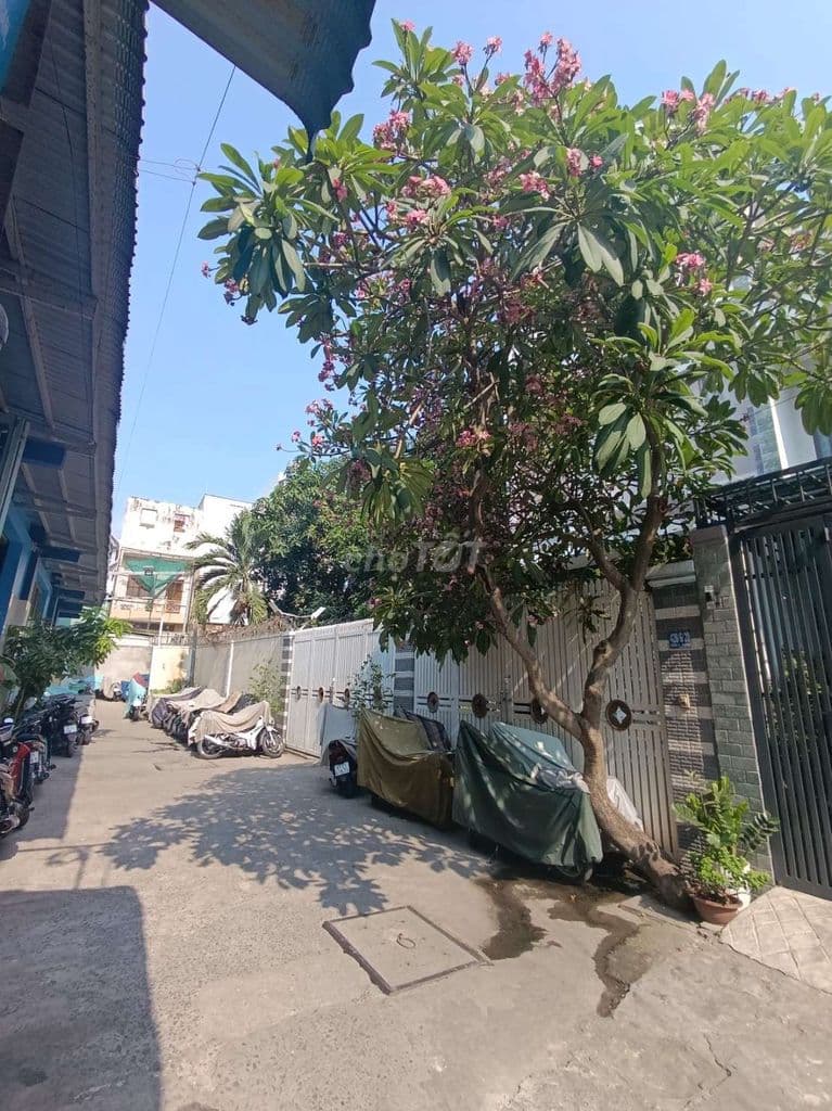 Đất giá rẻ An Dương Vương giáp Q6 hẻm xe hơi - Ảnh 2